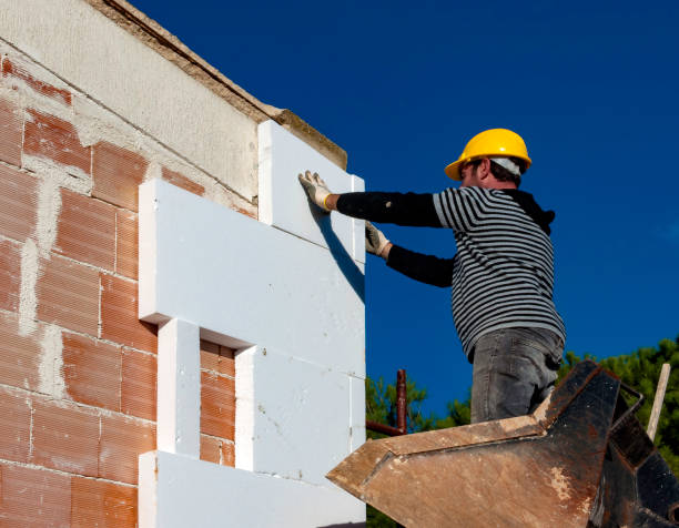 Best Professional Insulation Contractor  in Decordova, TX