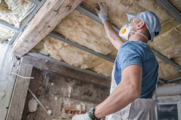 Best Affordable Insulation Services  in Decordova, TX