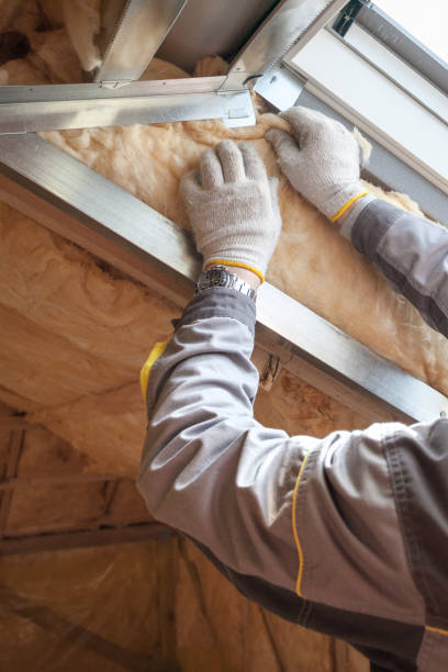 Professional Insulation Contractor in Decordova, TX
