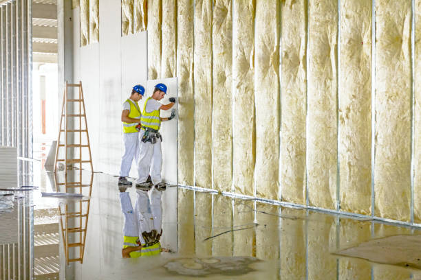 Best Insulation Contractors for Homes  in Decordova, TX
